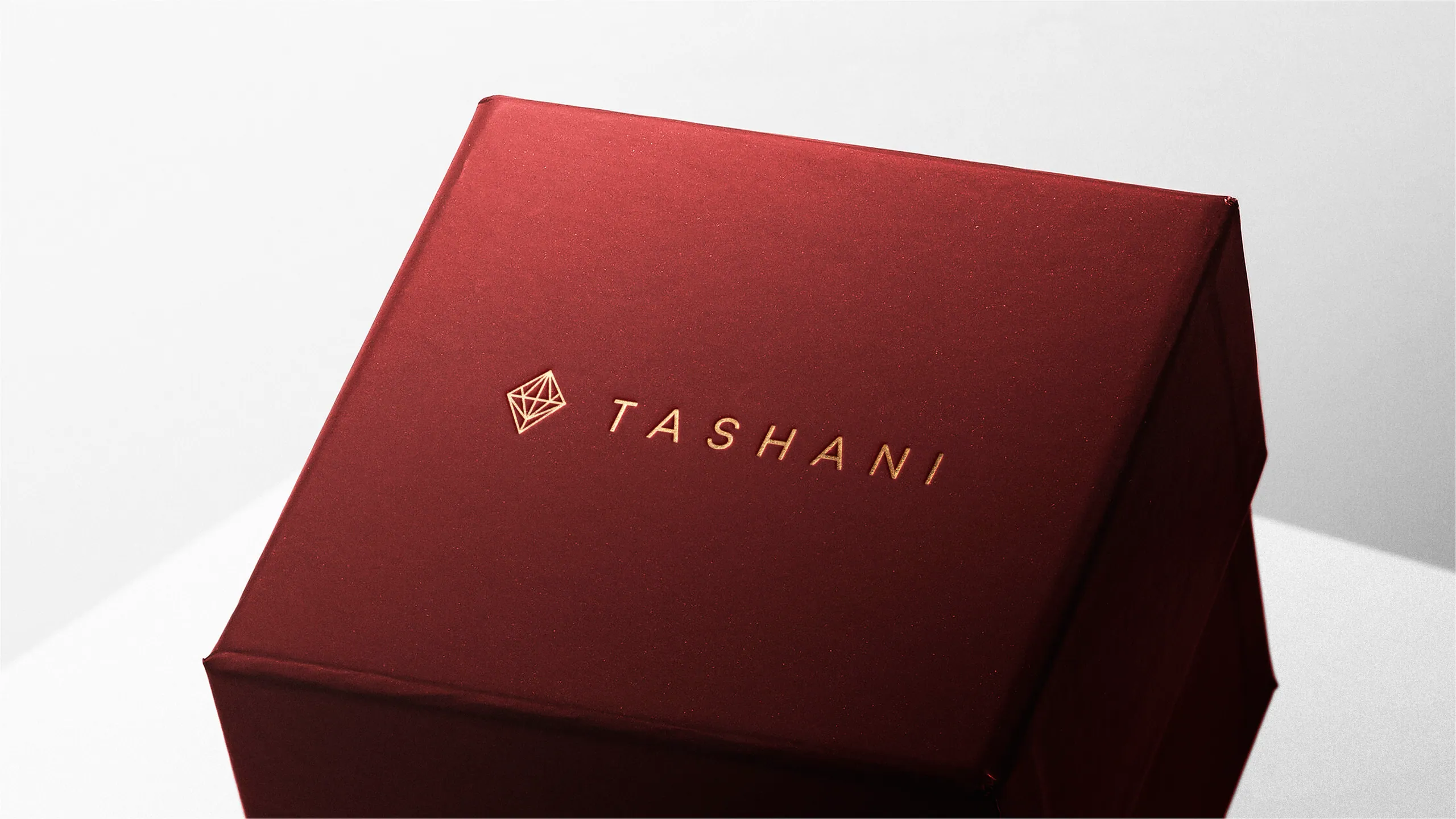 Tashani brand identity 3